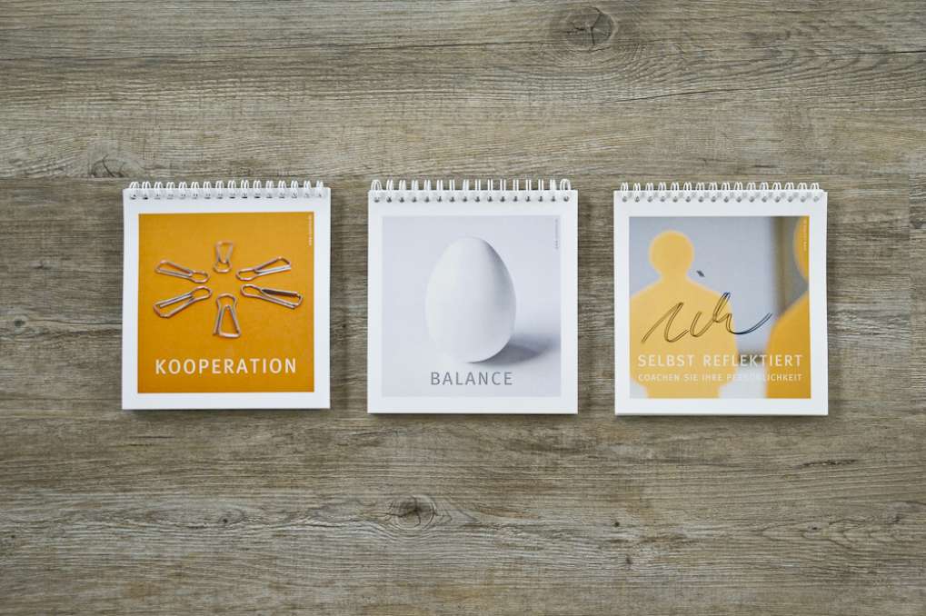 Organisations-entwicklung Prof. Dr. Ryschka