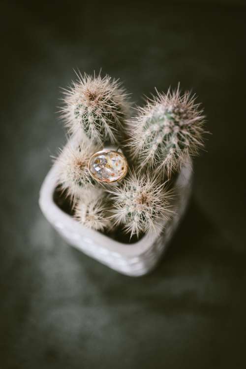 Goldschmiede Formvoll