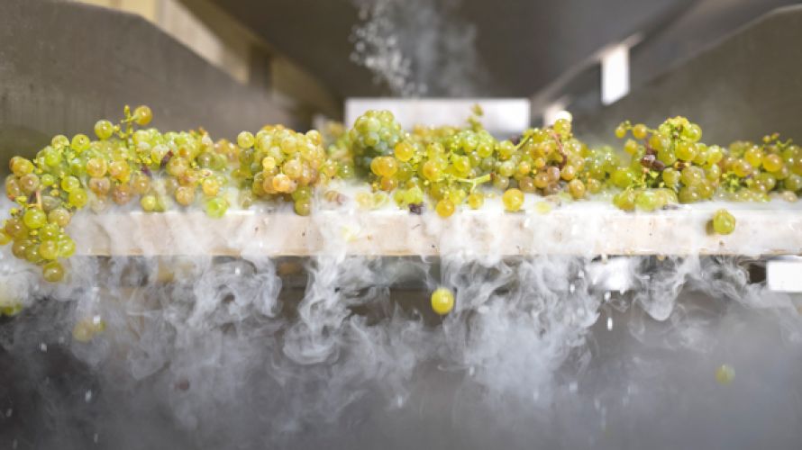 trockeneis auf Trauben