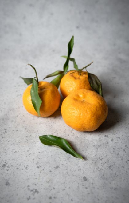 authentisches Bild von Mandarinen